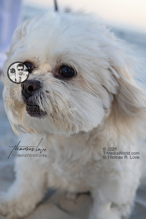 9W6A4656
