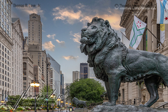 9W6A4038-Edit