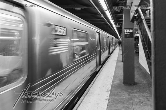 9W6A7684
