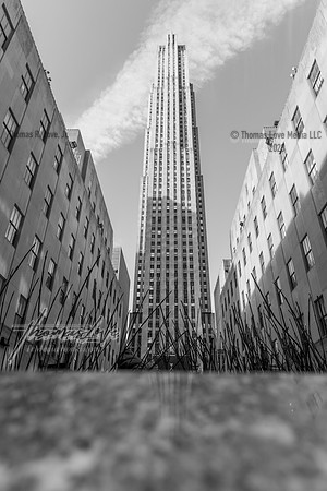 9W6A7893-HDR