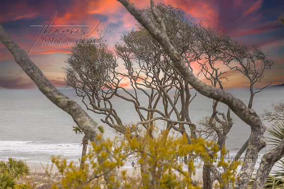 9W6A9621-Edit