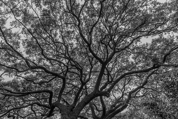 untitled-2