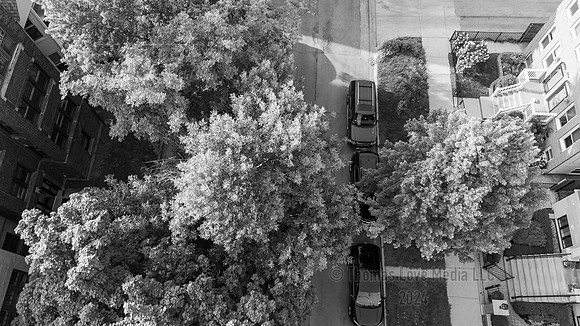 DJI_20240719183929_0319_D