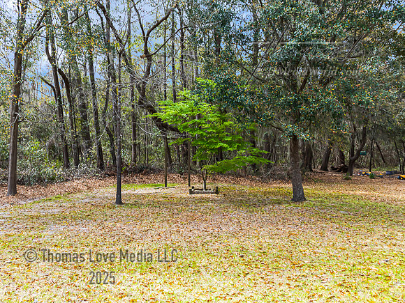 9W6A1313-Edit
