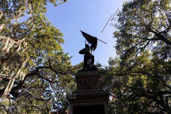 9W6A8239